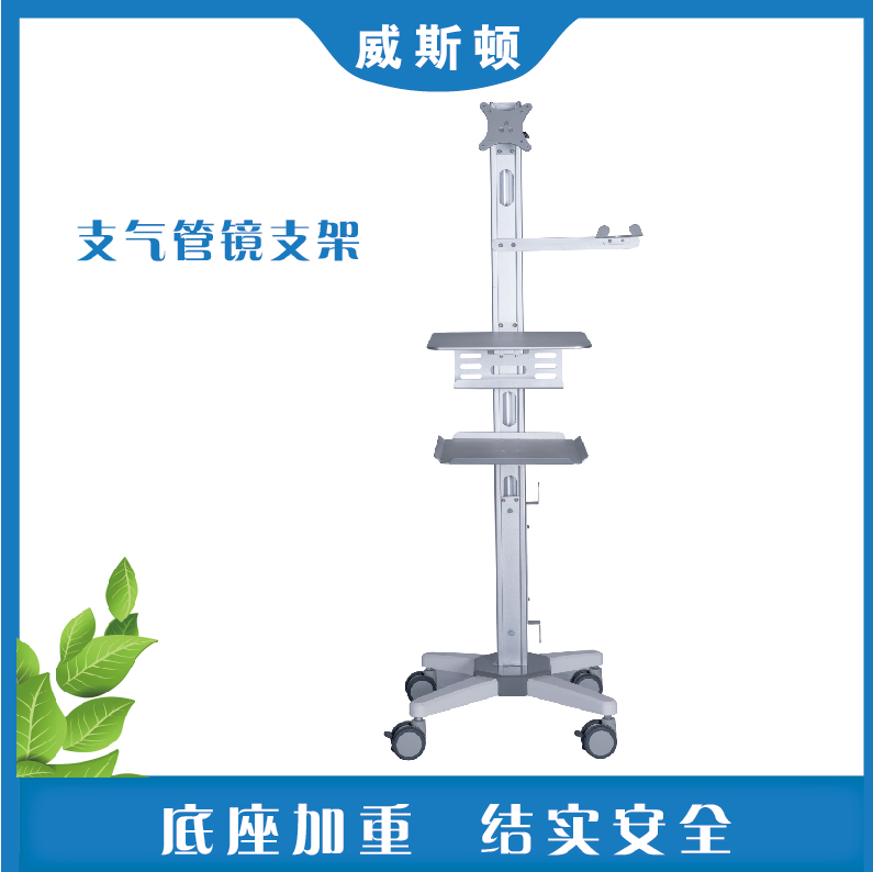 支气管镜支架