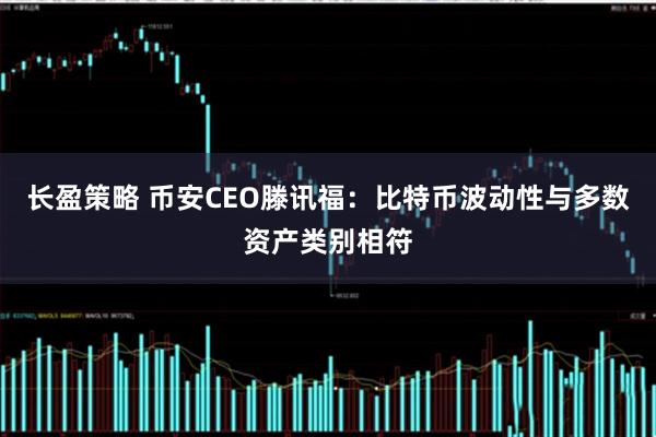 长盈策略 币安CEO滕讯福：比特币波动性与多数资产类别相符