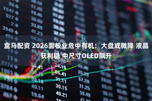 盒马配资 2026面板业危中有机：大盘或微降 液晶获利稳 中尺寸OLED飙升